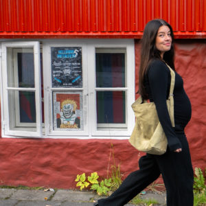 Að viðurkenndum bókara - Fjarnám